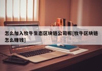 怎么加入牧牛生态区块链公司呢[牧牛区块链怎么赚钱]